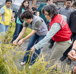 副總統蕭美琴視察臺東農損情況 關心康芮颱風影響農民復耕問題