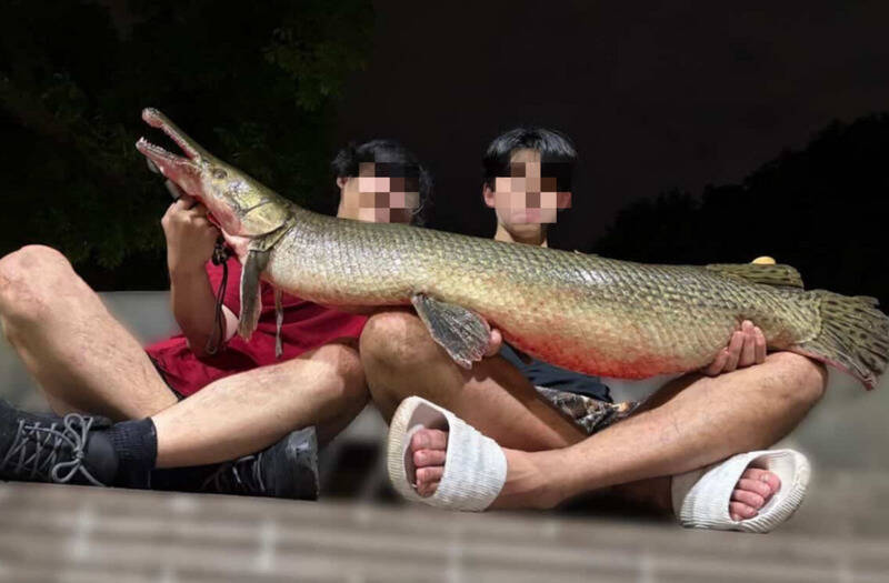 吃掉228公園吉祥物引爆炎上！成大釣魚社黑歷史曝光　北市府開罰2釣客各罰3600元揭不移除原因