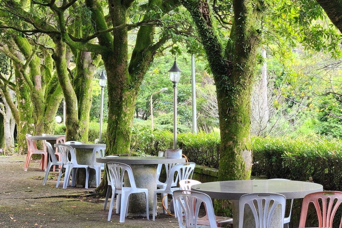 陽明山竹子湖美食推薦 陽明山賞花必訪景觀餐廳季節限定花景