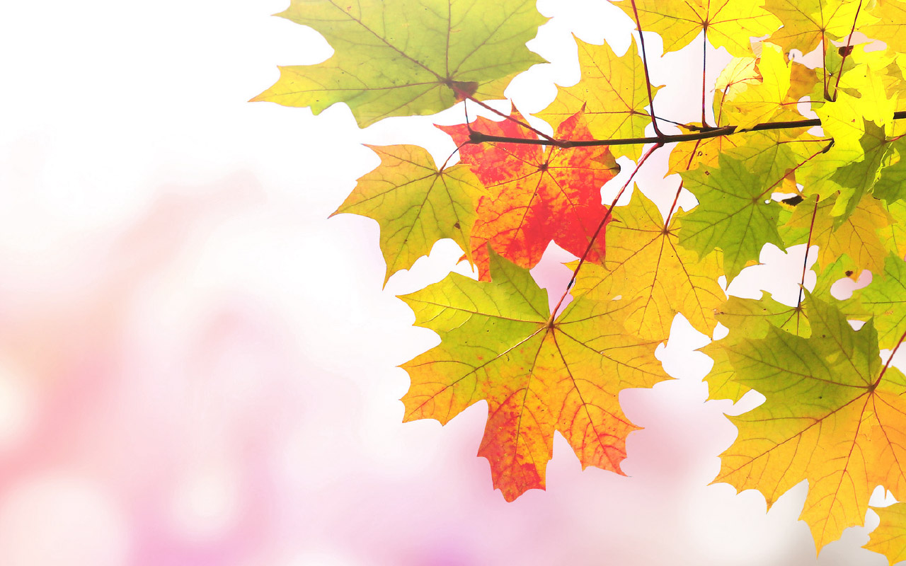 SiOHER熹歐禾衣著療癒學 用顏色與溫度 找回秋日心平衡