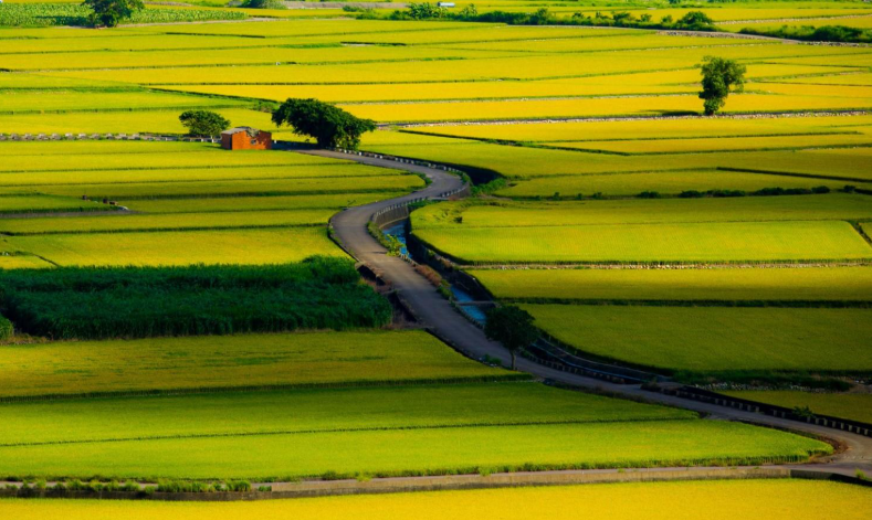 黃偉哲市長推動青農返鄉！臺南114年首批市有耕地公告放租開跑