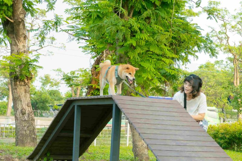 毛小孩也瘋狂　岡山又有寵物公園即將完工！