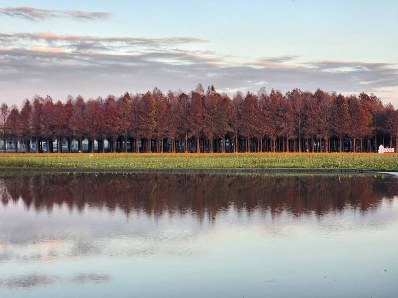 228連假攻略 把握燈會尾聲  臺南享受花季漫遊之旅