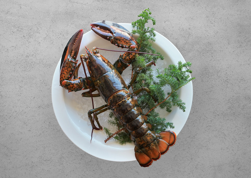 慶祝中華棒球隊晉級 高雄福華飯店龍蝦、飲品一送一同歡慶