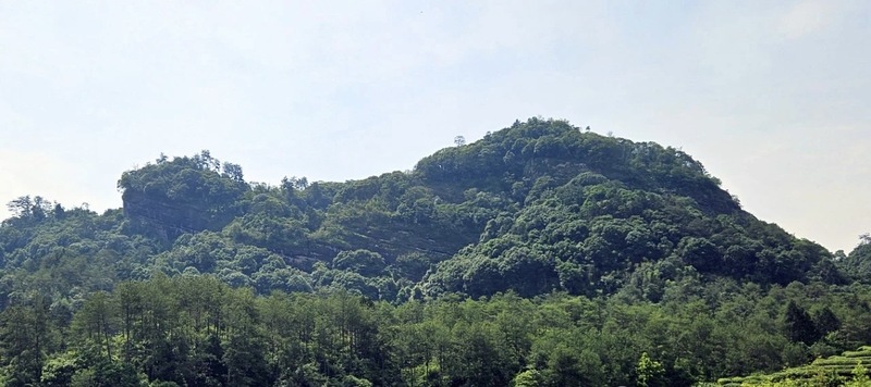 龜岩上的鐵骨男兒｜金羅漢