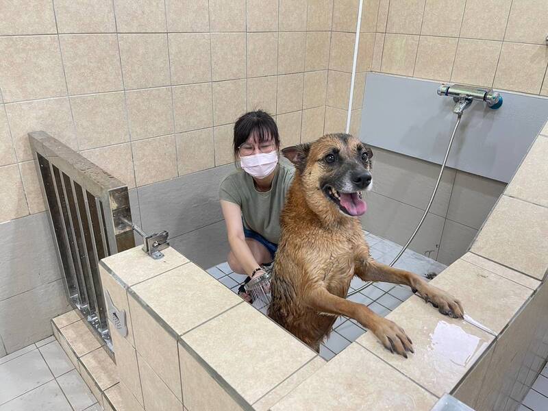 屏縣榮獲113年度動物保護業務評鑑雙獎肯定 持續提升動物福利