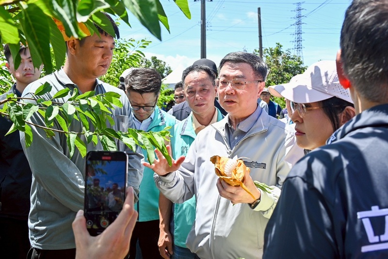 楊柳颱風農損逾4億元　卓榮泰赴台東勘災：救助從寬、經費上限600億