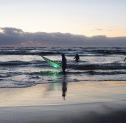 鰻苗捕撈季11月起跑！ 中下旬首批到臺灣 專家推估今年東亞漁獲總量優於平均