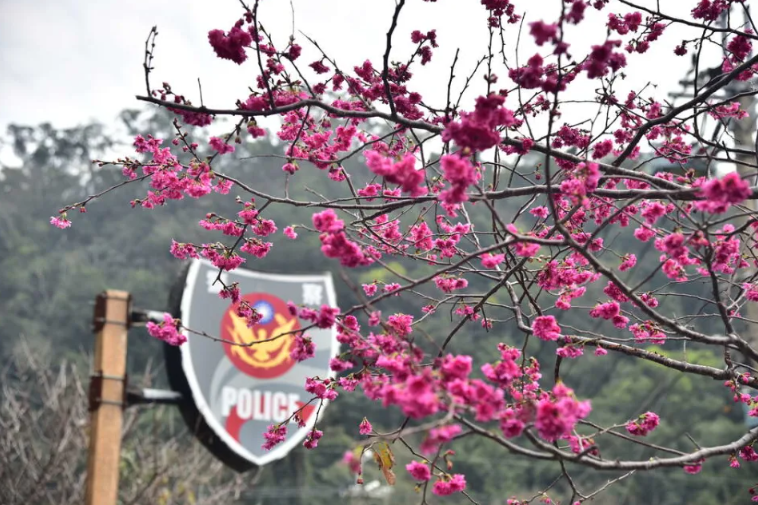 臺中「最美派出所」驚爆醜聞！所長勤務中喝酒遭檢舉 記過拔官