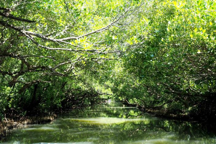 「住一晚送一晚」帶動熱潮！臺南旅遊網第一季熱搜榜出爐　高雄、臺北市民最愛來臺南