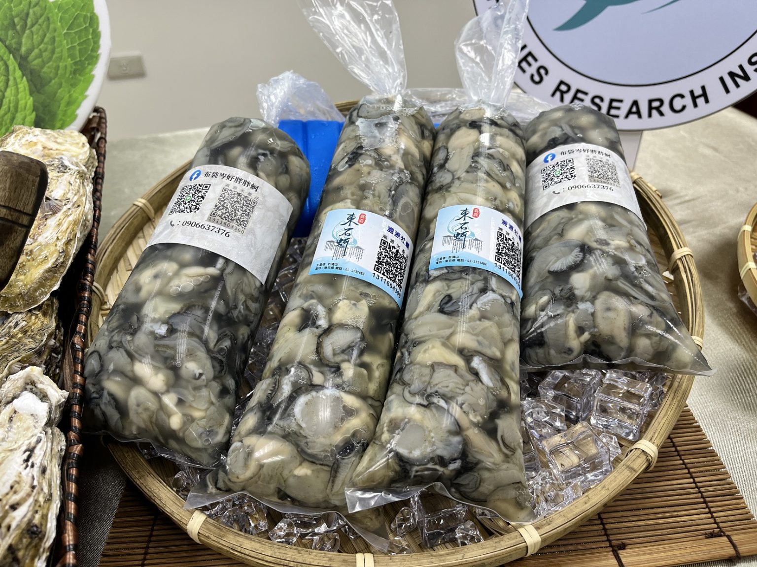 防越南、中國蚵洗產地 農業部推金門養殖登記、掌握生產數量